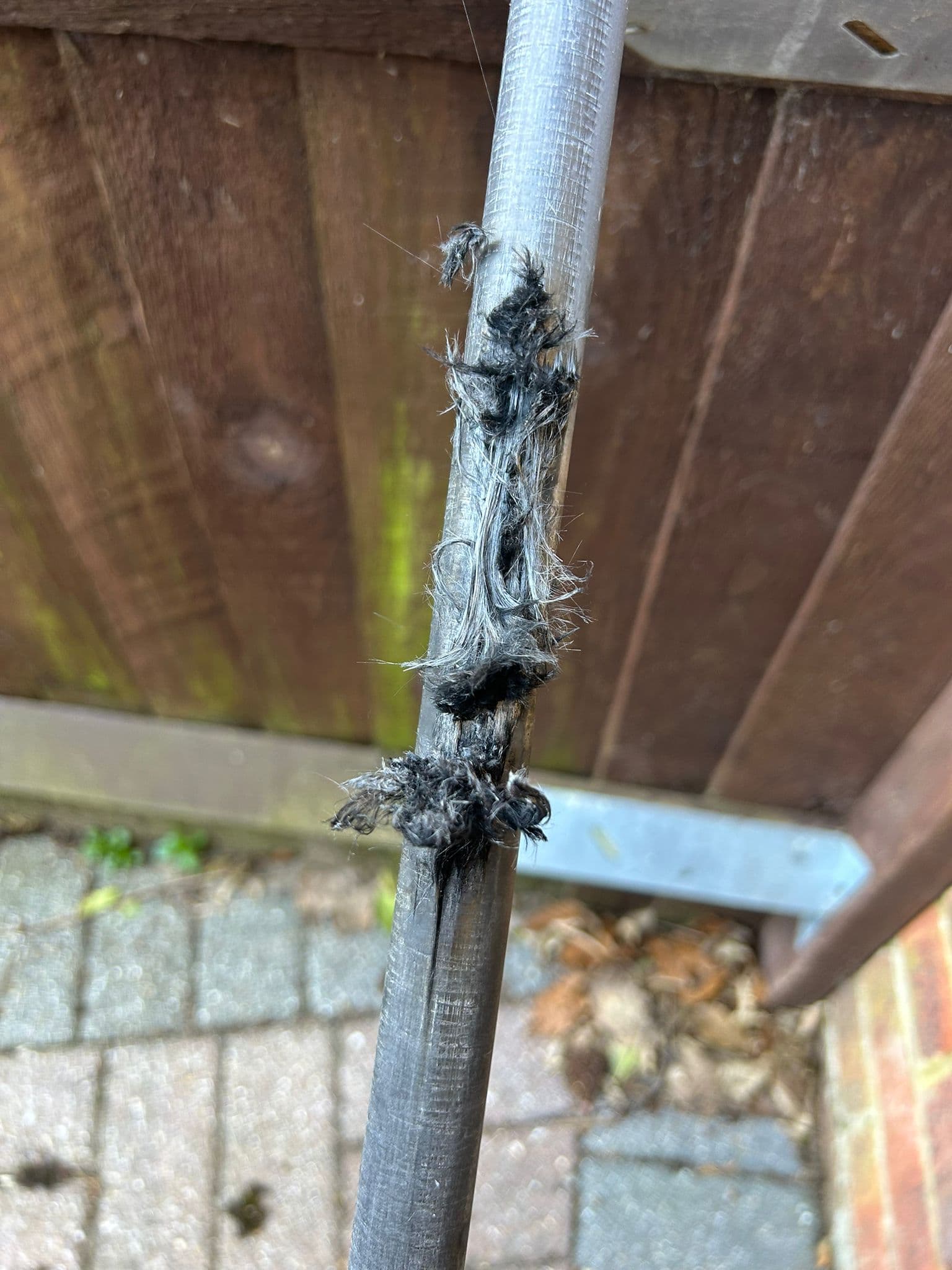 Pole Strike